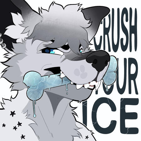 By: @critterkibble